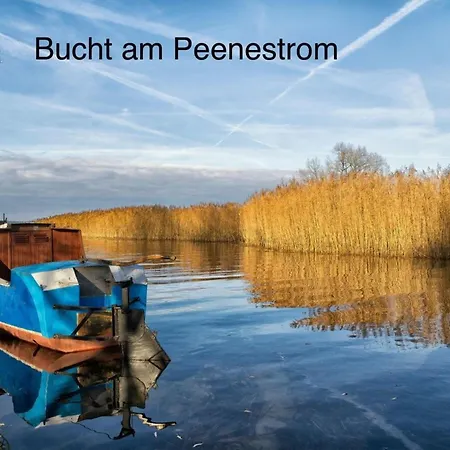 Oogenstern *